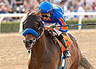 Game On Dude Heads World's Best Racehorses Game On Dude Heads World's Best Racehorses