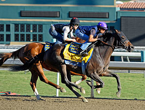 'Dude' Works, Baffert Says Gelding is Ready 'Dude' Works, Baffert Says Gelding is Ready