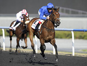 Field of Six Set for UAE Oaks Field of Six Set for UAE Oaks