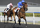 Field of Six Set for UAE Oaks Field of Six Set for UAE Oaks