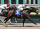 Gantry Looks to Step Up in Commonwealth
