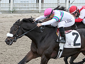 Inaugural Evangeline Turf Sprint Lures Gantry Inaugural Evangeline Turf Sprint Lures Gantry