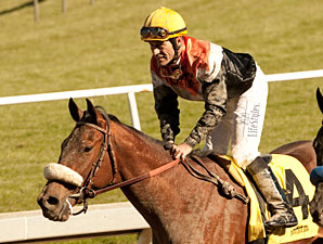 Gary Stevens Gets First Comeback Winner