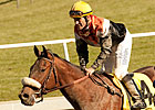 Gary Stevens Gets First Comeback Winner Gary Stevens Gets First Comeback Winner