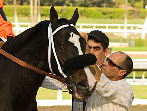 Stevens Notches First Win as Trainer Stevens Notches First Win as Trainer