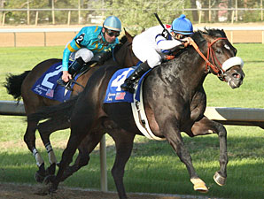 Gayego Answers Dirt Question at Oaklawn Gayego Answers Dirt Question at Oaklawn