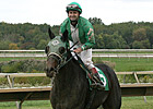 Geeky Gorgeous Named New Jersey Horse of Year Geeky Gorgeous Named New Jersey Horse of Year