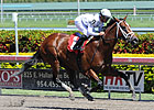 Gemologist Sparkles in Gulfstream Triumph Gemologist Sparkles in Gulfstream Triumph