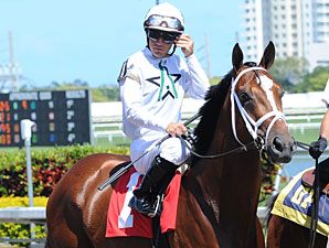 Paynter, Gemologist Work for Haskell Paynter, Gemologist Work for Haskell
