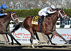 Gemologist Holds Off Alpha in Thrilling Wood 
