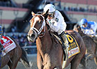 Gemologist, El Padrino Get in Florida Works Gemologist, El Padrino Get in Florida Works