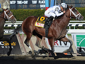 Security Enhanced for Wood and SA Derby Security Enhanced for Wood and SA Derby