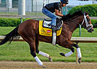 Kentucky Derby Analysis - Exceed the Speed Kentucky Derby Analysis - Exceed the Speed