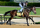 Slow Five-Furlong Move for General a Rod Slow Five-Furlong Move for General a Rod