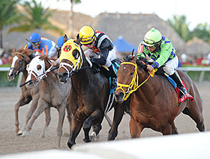 Wildcat Red Set to Run Next in Holy Bull Wildcat Red Set to Run Next in Holy Bull
