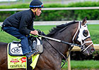 General a Rod Latest to Join Preakness Mix General a Rod Latest to Join Preakness Mix