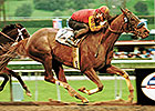 California Favorite General Challenge Dead California Favorite General Challenge Dead