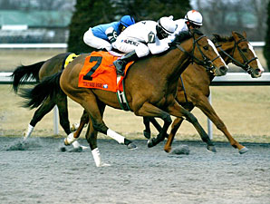 General Election Upsets Battaglia Memorial General Election Upsets Battaglia Memorial