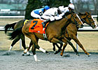 General Election Upsets Battaglia Memorial General Election Upsets Battaglia Memorial