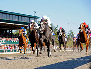 Proposed Network to Offer 80 Racing Feeds Proposed Network to Offer 80 Racing Feeds