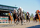 Proposed Network to Offer 80 Racing Feeds
