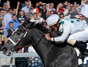 Grade I Winner General Quarters Retired Grade I Winner General Quarters Retired