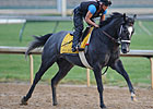 General Quarters Set for Fair Grounds Return General Quarters Set for Fair Grounds Return