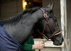 General Quarters Bounces Back From Injury