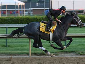 General Quarters Breezes Five Furlongs General Quarters Breezes Five Furlongs