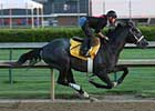General Quarters Breezes Five Furlongs General Quarters Breezes Five Furlongs