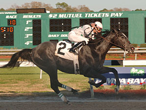 Porter on Pedigrees: General Quarters Porter on Pedigrees: General Quarters