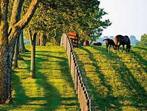 Farms Urged to Participate in USDA Census Farms Urged to Participate in USDA Census