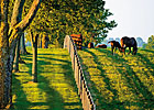 Farms Urged to Participate in USDA Census Farms Urged to Participate in USDA Census