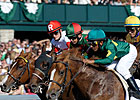 Technology and the Racing Fan