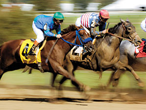 Another Solid Month for U.S. Wagering, Purses