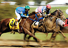 Another Solid Month for U.S. Wagering, Purses Another Solid Month for U.S. Wagering, Purses
