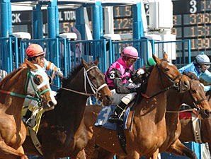 NY Racing Regulators Amend Medication Rules NY Racing Regulators Amend Medication Rules