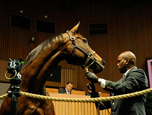 Keeneland Raising Sale Commission to 5% Keeneland Raising Sale Commission to 5%
