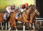 Gentildonna Wins Dramatic Sheema Classic Gentildonna Wins Dramatic Sheema Classic