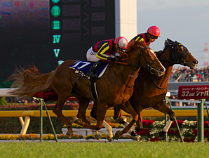 Gentildonna Noses Out Orfevre in Japan Cup