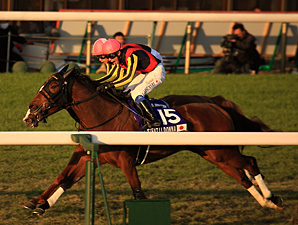 Gentildonna Draws Post 7 in Japan Cup Defense