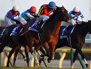 Gentildonna Posts Repeat Victory in Japan Cup Gentildonna Posts Repeat Victory in Japan Cup
