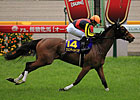 Gentildonna Romps in Tokyo's Japanese Oaks Gentildonna Romps in Tokyo's Japanese Oaks