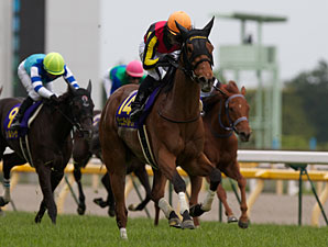 Gentildonna Impacts Japanese Racing Gentildonna Impacts Japanese Racing