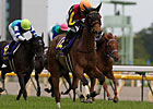 Gentildonna Impacts Japanese Racing Gentildonna Impacts Japanese Racing
