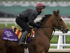 George Washington Sires Filly George Washington Sires Filly