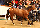 Only Known Foal of GW Sells For About $535K
