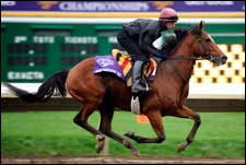 George Washington Euthanized After BC Classic Injury George Washington Euthanized After BC Classic Injury