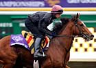 George Washington Euthanized After BC Classic Injury