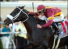 Tribal Rule's Star Rising with Boost From Georgie Boy Tribal Rule's Star Rising with Boost From Georgie Boy